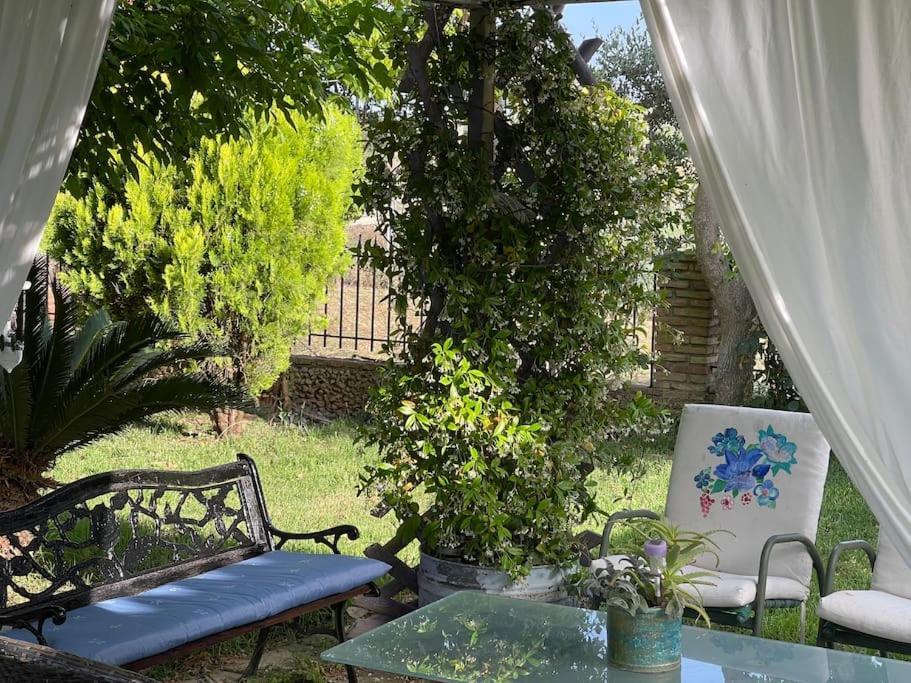 Mama'S Sunshine Garden Villa Agios Ilias  Exteriér fotografie