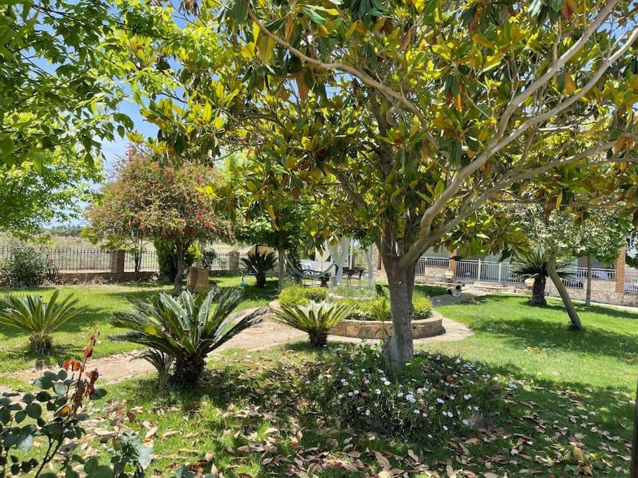 Mama'S Sunshine Garden Villa Agios Ilias  Exteriér fotografie
