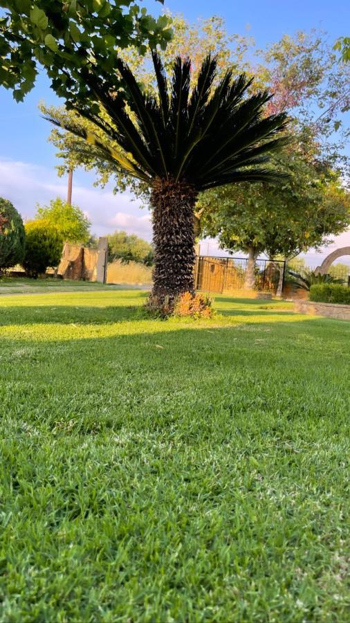 Mama'S Sunshine Garden Villa Agios Ilias  Exteriér fotografie