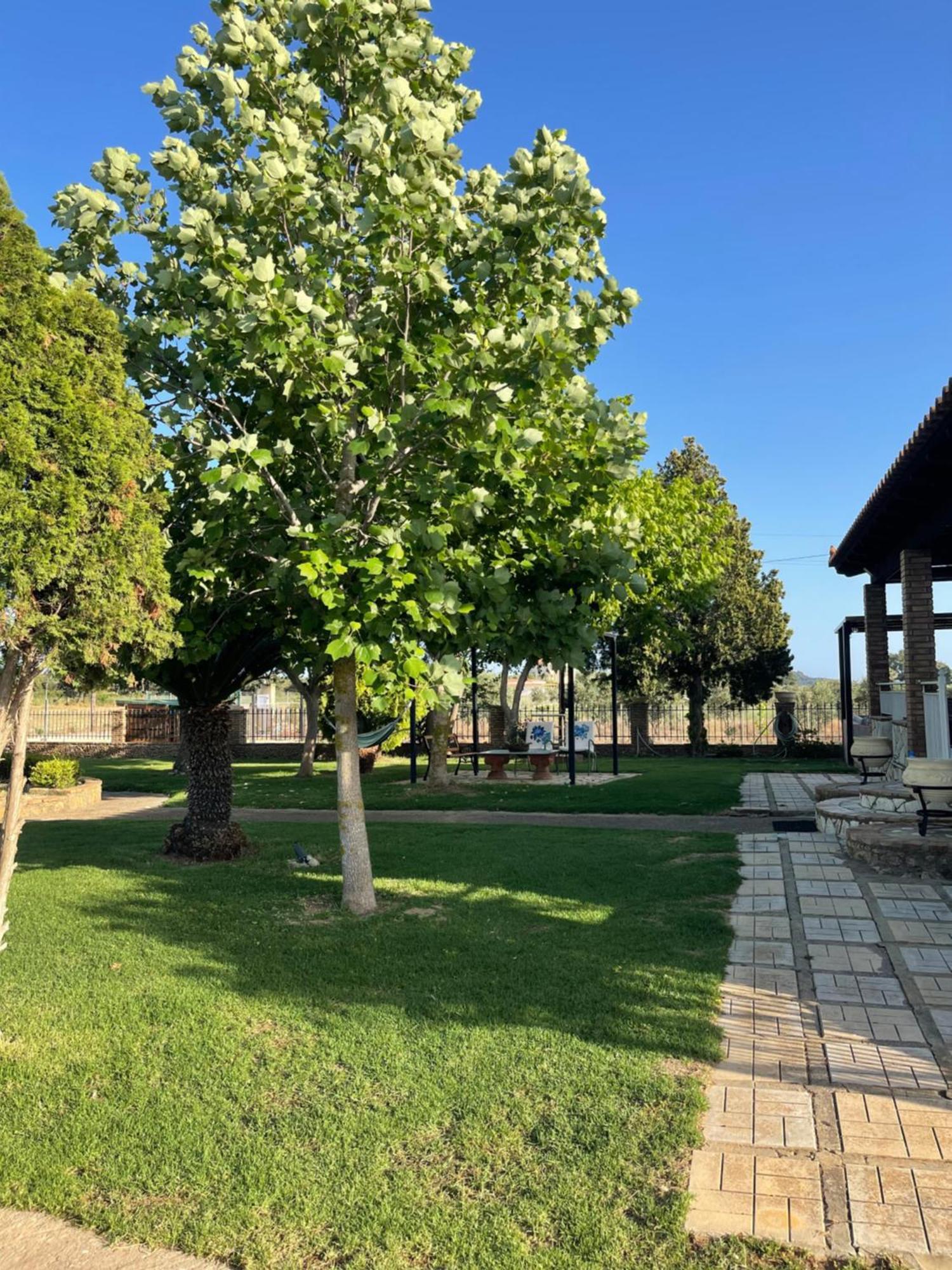 Mama'S Sunshine Garden Villa Agios Ilias  Exteriér fotografie